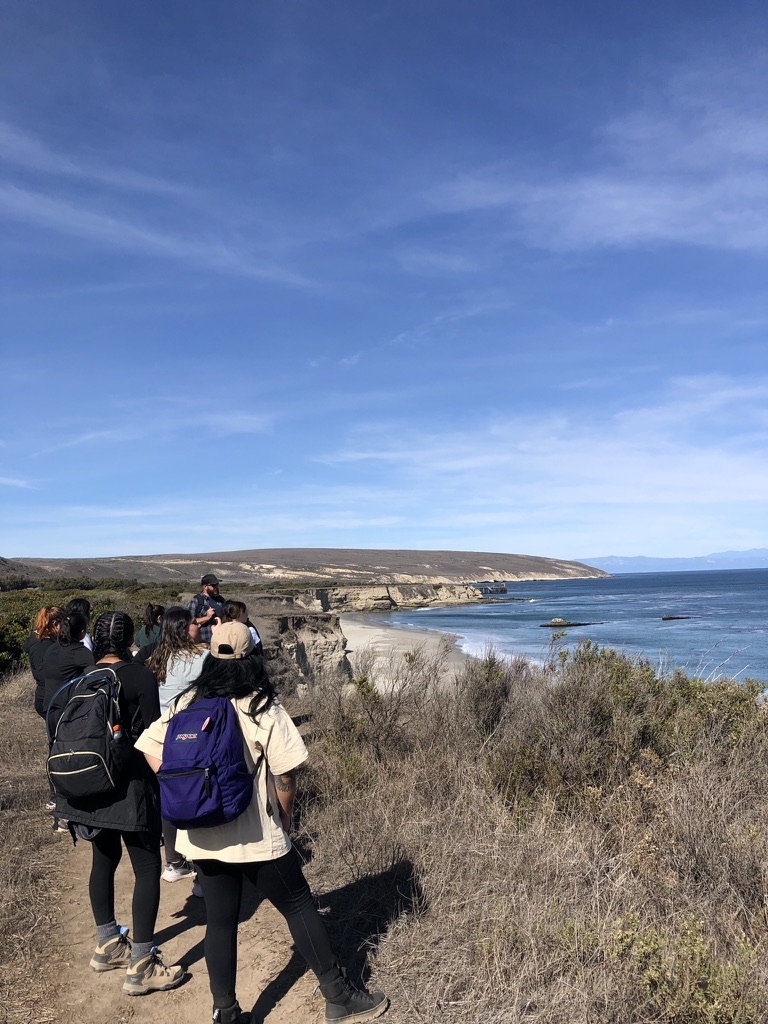 Capstone students at Santa Rosa Island looking at the beach.